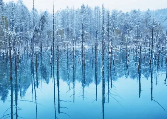Hồ xanh Shirogane băng giá đặc trưng Hokkaido mùa đông